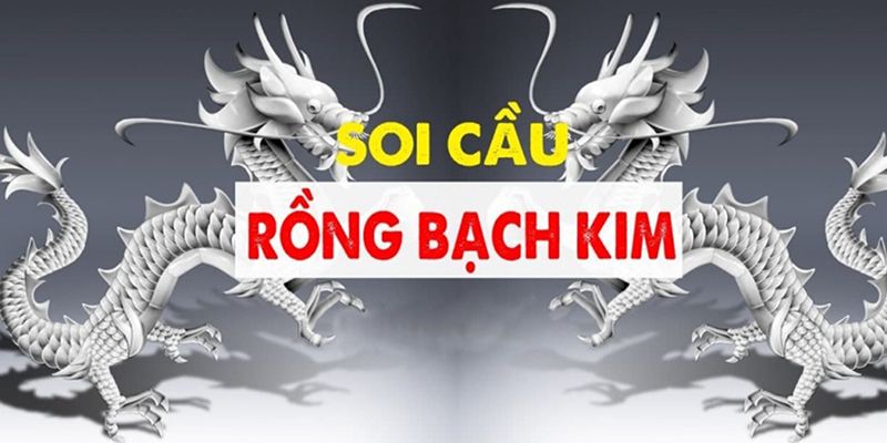 Công cụ Soi cầu rồng bạch kim được ưa chuộng ở độ chính xác cao