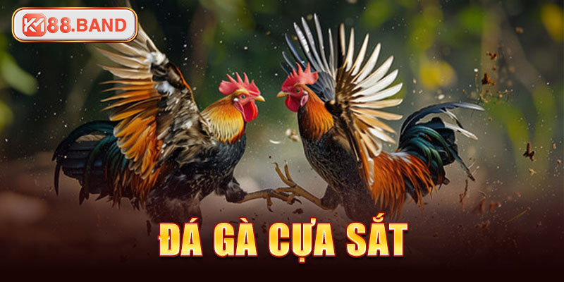 da-ga-cua-sat